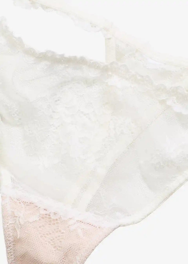 25043404