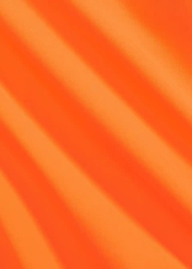 25059010