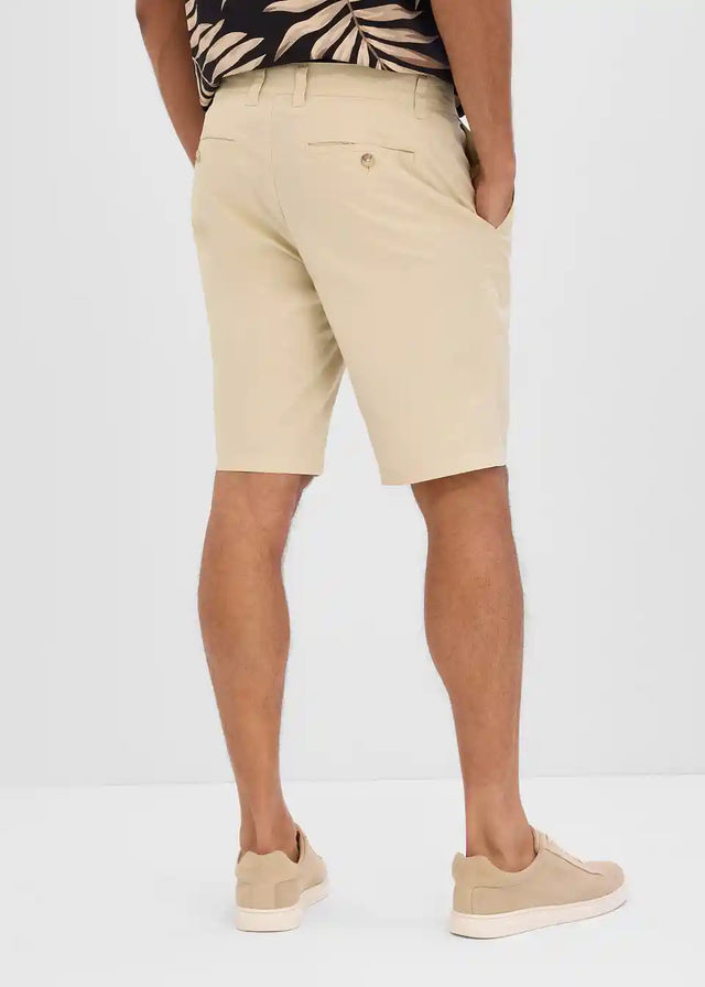 26033675
