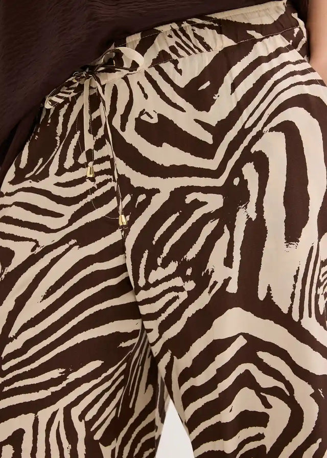26059202