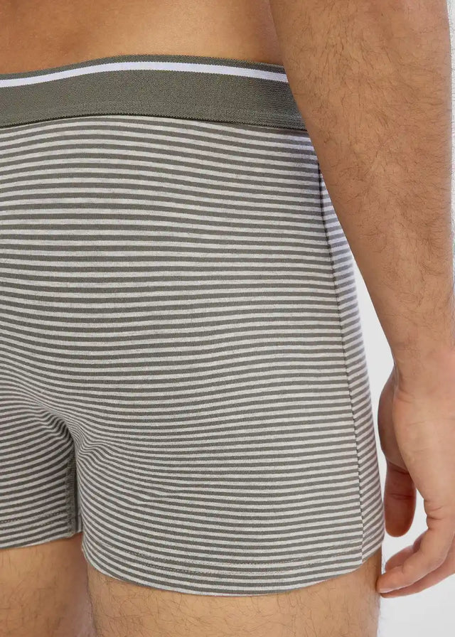26065315