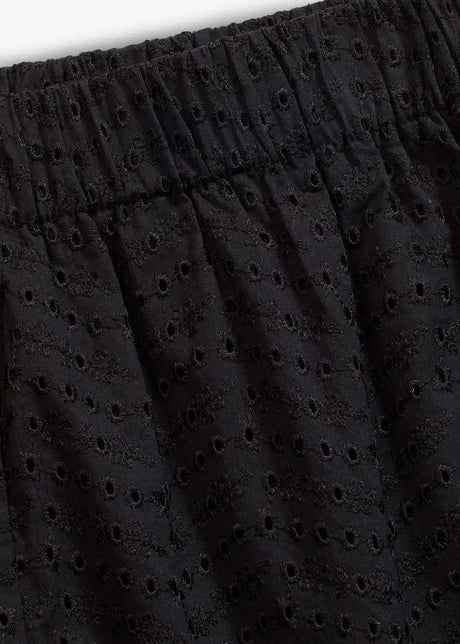 25047703