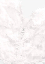 26013752