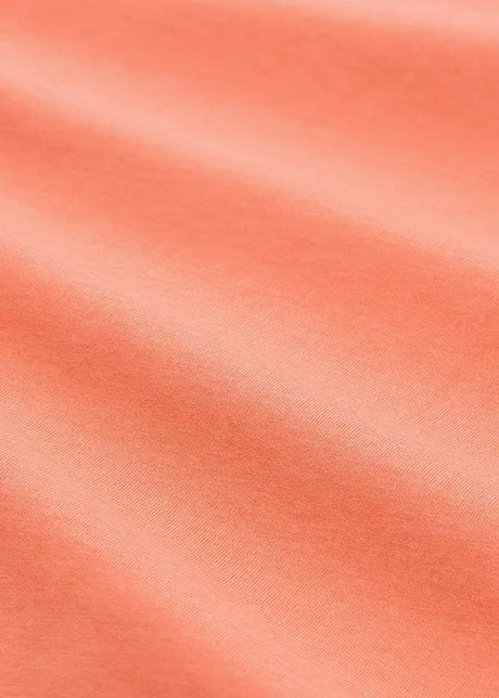 26018529
