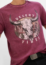26039796