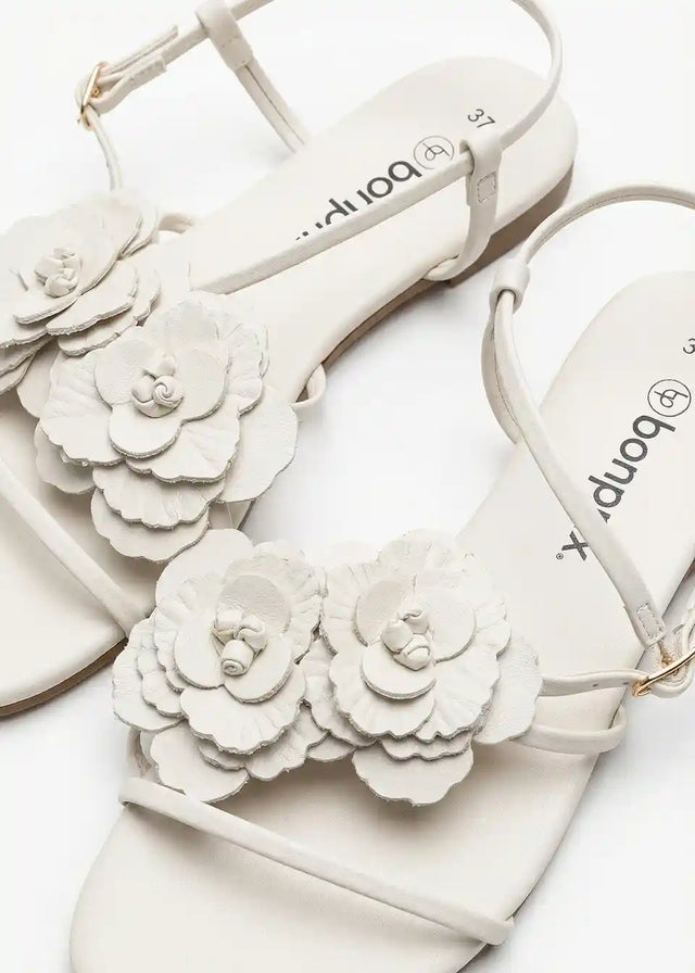 26043814