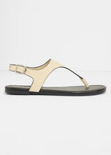 26049072