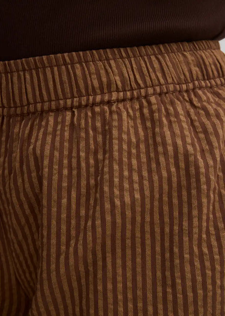 26053013