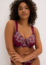 26063503
