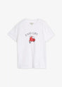 26076384