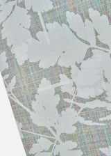 mainImage
