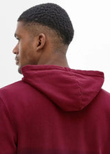 26087048