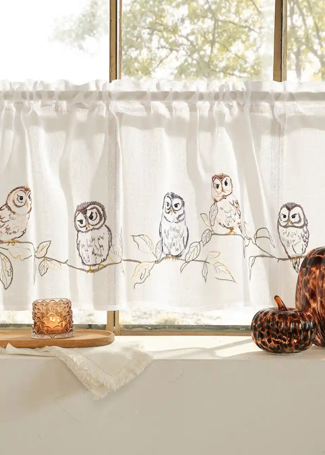 26098245